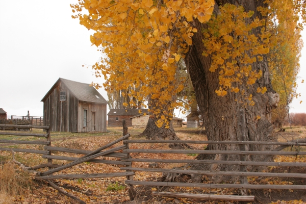Malheur NWR_Sodhouse Ranch_Barbara Wheeler Photography, USFWS Volunteer