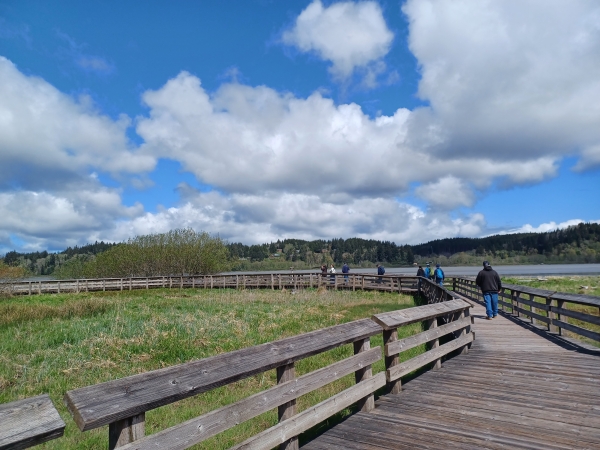 People walk a boardwalk trail over salt marsh