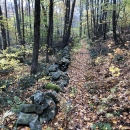 A trail leads into the forest along a stone wall through the autumn leaves.