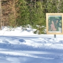 A woman cross-country skiing on a snow-covered trail with directional signs in the foreground and forest in the background