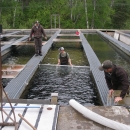 Crowding fish in a raceway