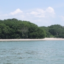 Gravel beach with tall trees in the background, lake in the foreground