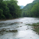 River water running between two banks of green trees under white cloudy sky 