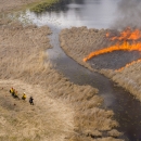Four firefighters observe a prescribed burn in a wetland