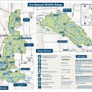 This document is the 2024 update to Erie NWR's former brochure which was published in February 2016 and is out of print. The 2024 brochure is a 2-page tearsheet, tailored to provide visitors with information on refuge trails, rules & regulations, and contact information. On the back side is a detailed map with the locations of trails and amenities displayed across the refuge's two divisions.