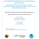 Determination of Injury to Natural Resources from Remedial Activities on the Hudson River: Riverine Fringing Wetlands, Aquatic Vegetation Beds, Shoreline Trees, and Native Freshwater Mussels