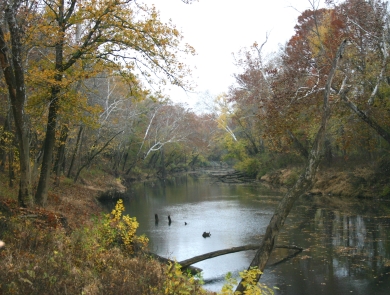River in autumn