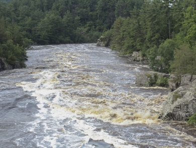 A river churns along the rocky rapids. Evergreen trees frame either side of the water.