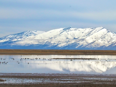 Vast flooded mudflat with a wide snow-capped mountain range visible in the distance.