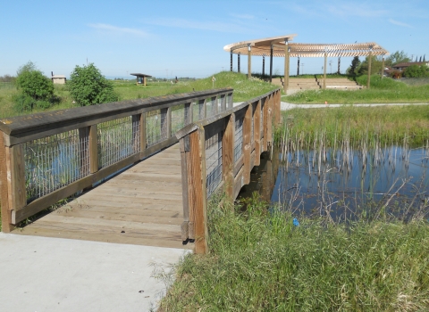 Blue Heron Trails at Stone Lakes National Wildlife Refuge