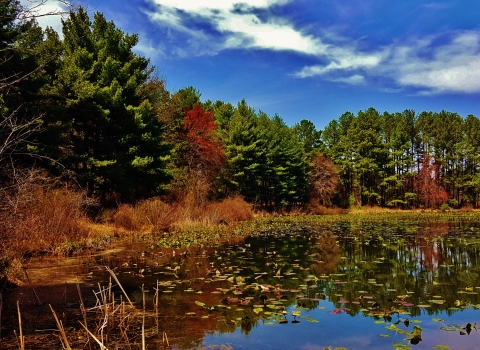 Lake Allen Patuxent Research Refuge