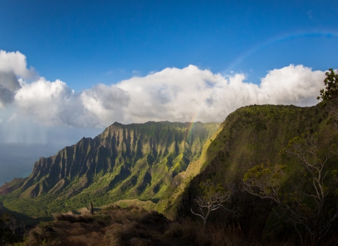 A view of mountains on Kauai where the mitigation site is. The clouds break behind the mountain cliffs and a rainbow arches in front.