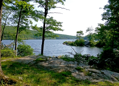 A view of the forested hills leads to a large open body of water below