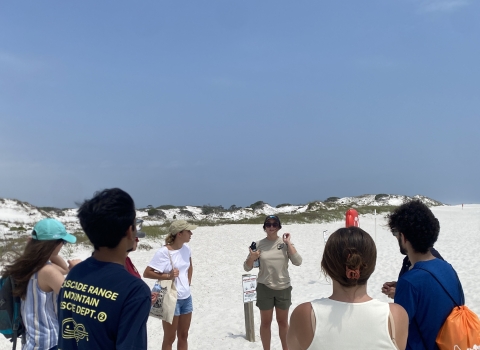 Staff talking to students on beach