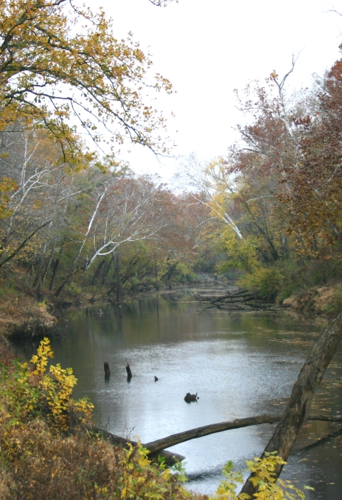 River in autumn