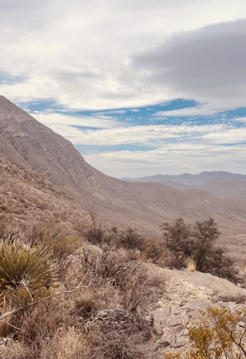 a mountain landscape