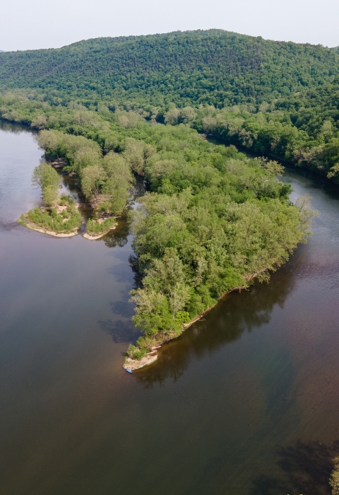 An aerial photo of a lush green forest in the background with two rivers joining in the foreground. 
