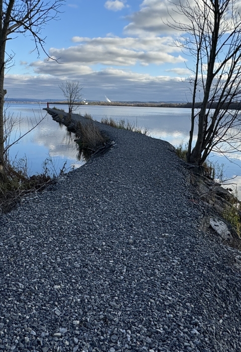 a stone jetty with sparse trees cuts through a still lake that reflects blue skies and clouds