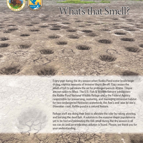 Flyer about fish smell showing dry soil with background of Haleakala 