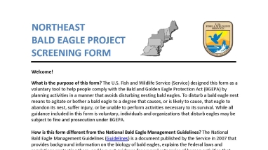 Image of screening form's front page