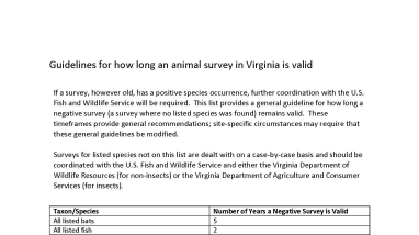 This is an image of the guidelines document for how long an animal survey in Virginia is valid. This list contains the number of years a negative survey is valid for listed bats, fish, isopods, mussels, and Shenandoah salamander in Virginia.