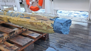 Blue serpentinite mud from a newly discovered mud volcano oozing out of the core catcher. Photo: Deep Blue Expedition SO292/2