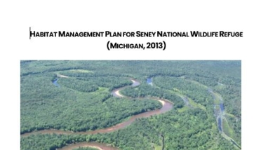 The front cover of the Seney National Wildlife Refuge Habitat Management Plan - a forest with a river flowing through.
