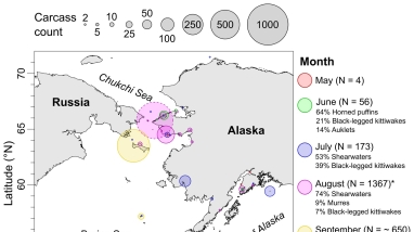 Seabird die-off map
