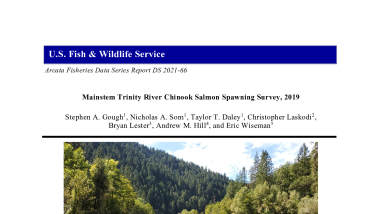 Mainstem Trinity River Chinook Salmon Spawning Survey, 2019