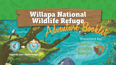 Jr. Ranger Booklet Willapa NWR