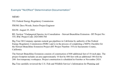 Example "No Effect" Determination Documentation