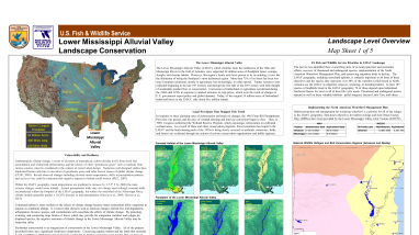 Overflow HMP Mapsheets