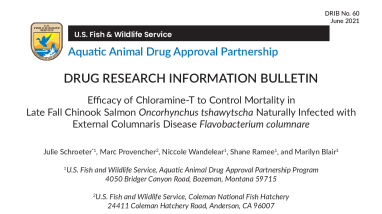 Drug Research Information Bulletin - Efficacy of Chloramine-T to Control Mortality in Late Fall Chinook Salmon Oncorhynchus tshawytscha Naturally Infected with External Columnaris Disease Flavobacterium columnare
