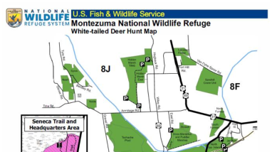 White-Tailed Deer Hunting Regulations/Montezuma NWR