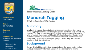 2nd Grade Fall Monarch Tagging