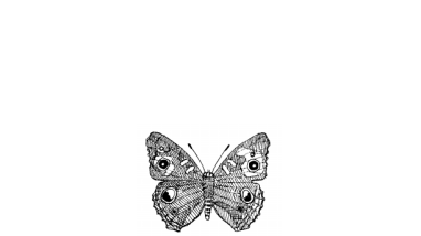 BH_InvertebrateListwithLinks.pdf