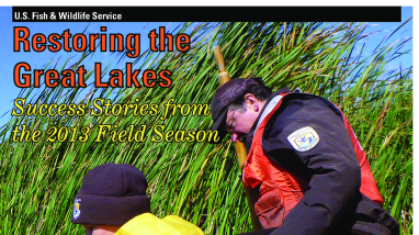 Restoring the Great Lakes: Success Stories from the 2013 Field Season