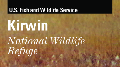 General Brochure