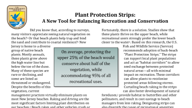 Plant Protection Strips: A New Tool for Balancing Recreation and Conservation