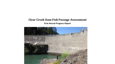 2012 Clear Creek Dam Fish Passage Assessment Progress Report