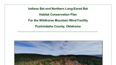 Indiana Bat and Northern Long-Eared Bat HCP for Wildhorse Mountain