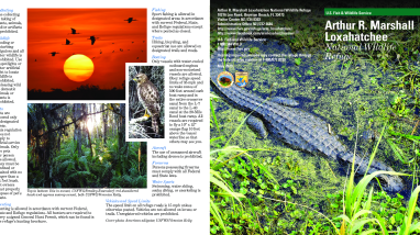 ARM Loxahatchee NWR General Brochure English