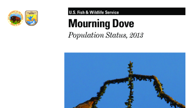 Mourning Dove Population Status Report, 2013