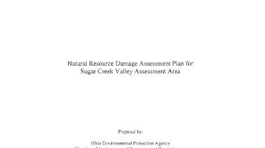 Natural Resource Damage Assessment Plan for Sugar Creek Valley Assessment Area