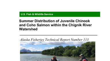 Summer Distribution of Juvenile Chinook and Coho Salmon within the Chignik River Watershed 2022-113.pdf