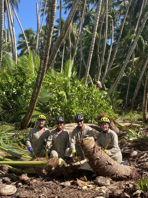 Volunteers kneel in front of tree debris 