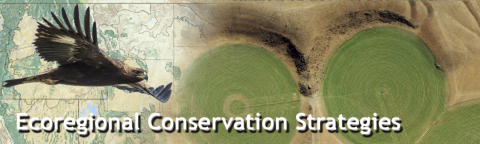 composite image of golden eagle flying overload on a map and image of circular-irrigated agriculture