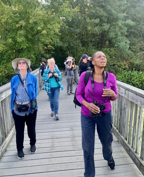 People with binoculars stand on an outdoor boardwalk looking up at the sky