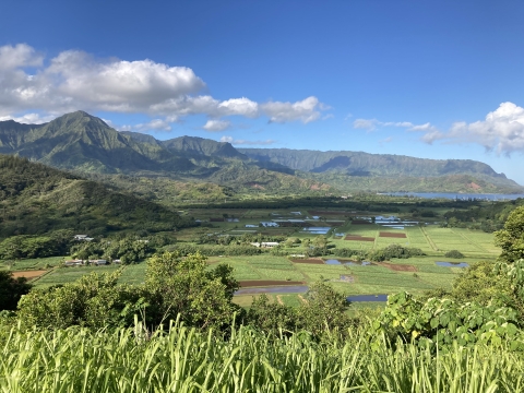 A view of the Hanalei River Valley