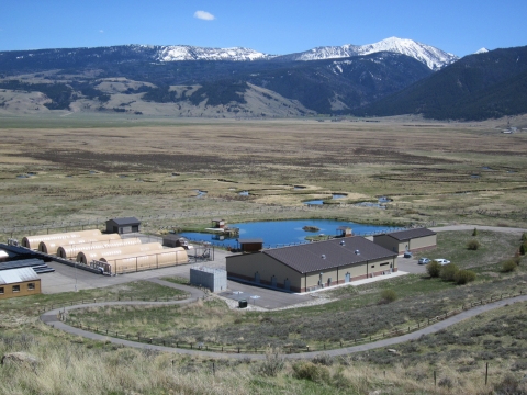 Overview of the fish hatchery from a hilltop